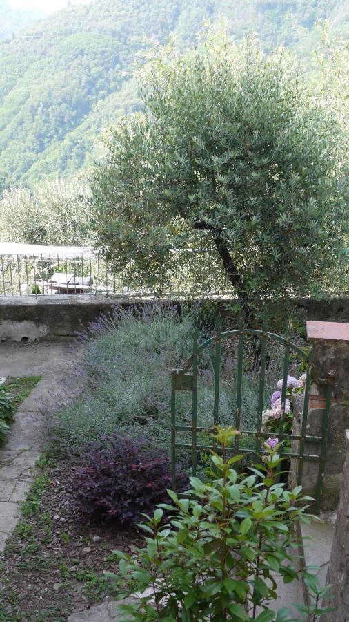 Piscina Con Vista Villa Bagni di Lucca Luaran gambar